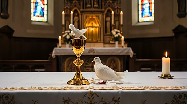 Pope Leo XIV to Celebrate Mass with Vulnerable Groups at Albano Shrine