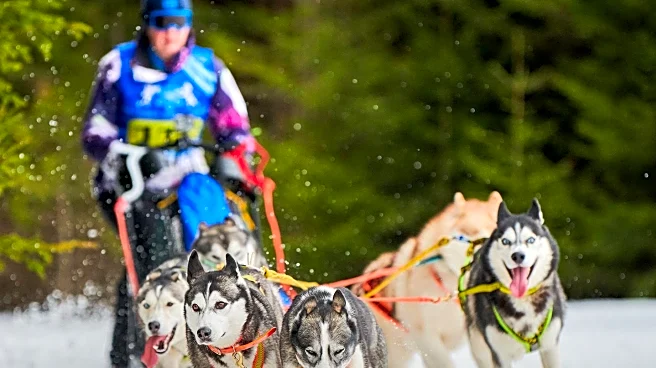 Olympic Kennel Club Draws Large Crowd with 1485 Entries at Enumclaw Event