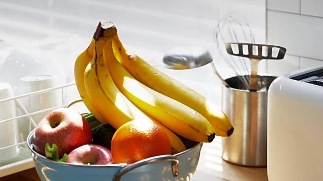 Entomologist Offers Solutions to Combat Fruit Fly Infestations in Kitchens