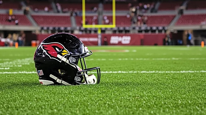 Arizona Cardinals' Hayden Conner Suffers Knee Injury, Impacting Roster Position