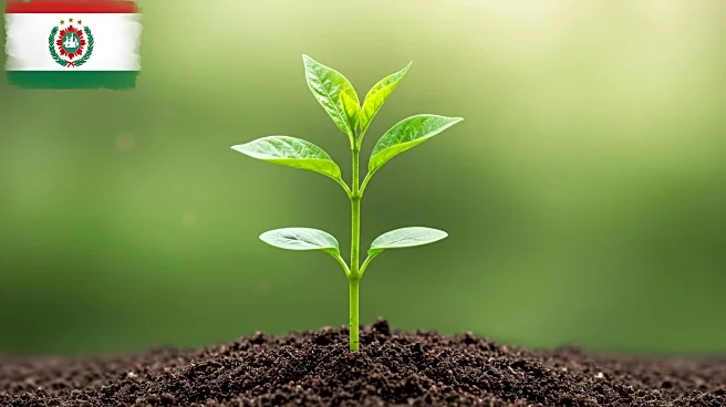 Prime Minister Modi Advocates for Fertilizer Self-Reliance to Reduce Import Dependency