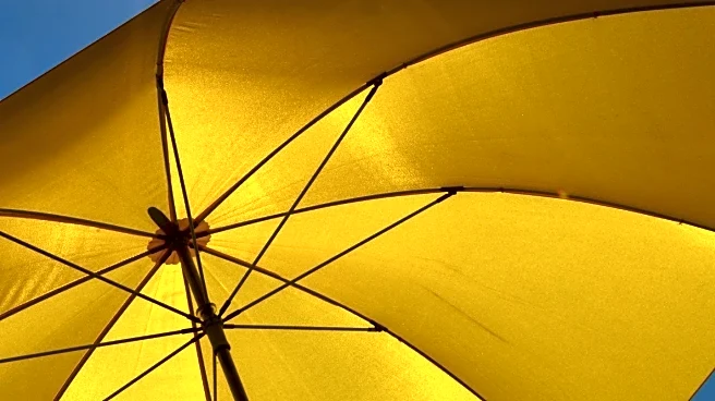 TikTok User Sparks Debate Over Umbrella Sun Shade in Cars and Superstitions