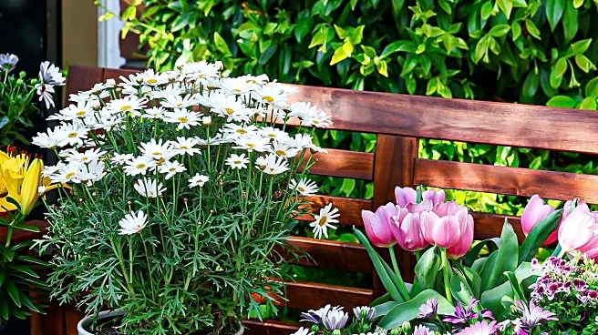 Washington Village in Bloom Restores Flower Bench with Community Donations