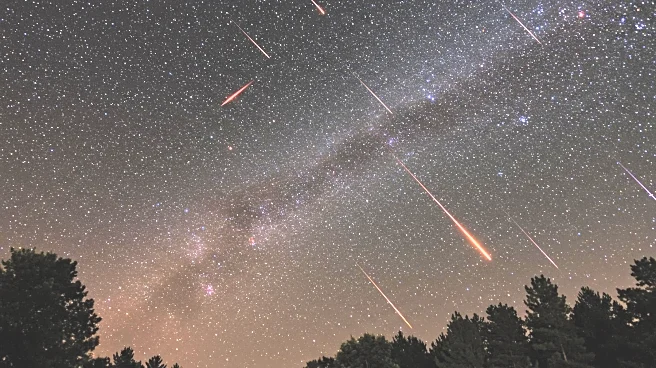 Perseid Meteor Shower Peaks in U.S. with Fireballs and Shooting Stars