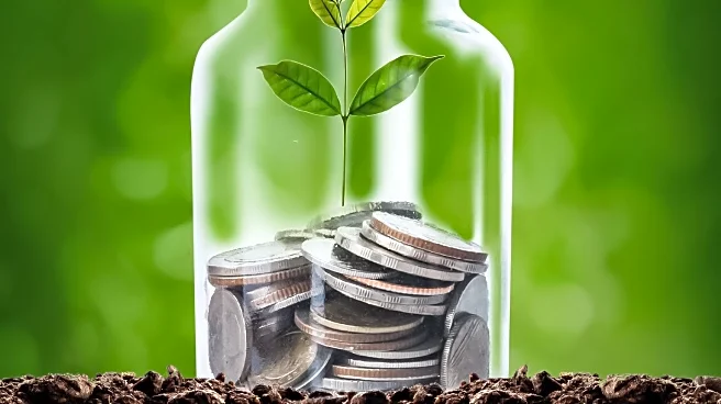 Financial Planner Advises on Managing Impulsive Spending for Family's Future