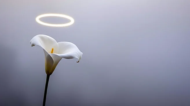 Josephine Rowe's Novel Explores the Mystical Story of a Young Saint