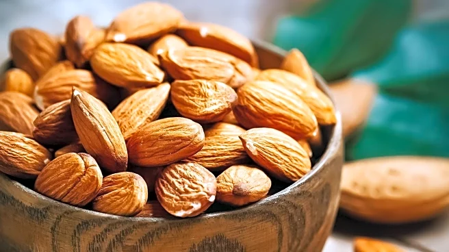 Study Finds Almonds Can Protect DNA and Reduce Oxidative Stress