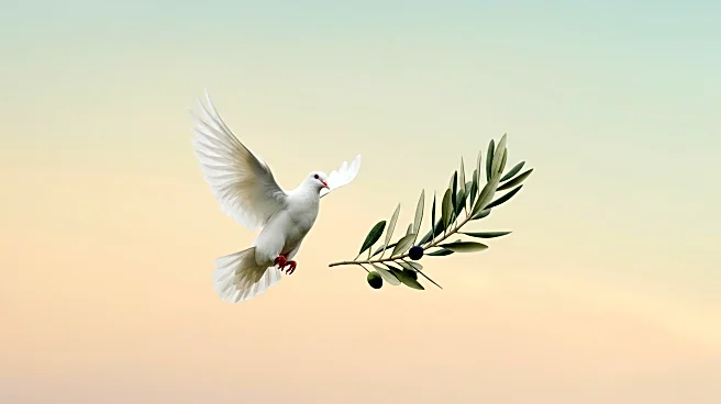 Italian Hospital Reports Death of Gazan Woman Evacuated in Critical Condition