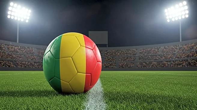 Guinean Football Federation Appoints Paulo Duarte as Head Coach of Syli National