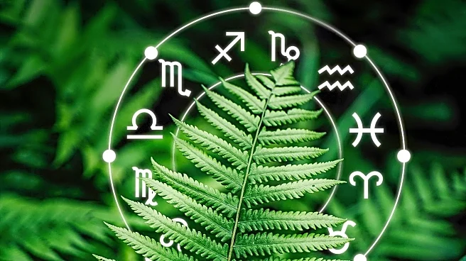 Four Zodiac Signs to Experience Abundance and Luck Starting August 18