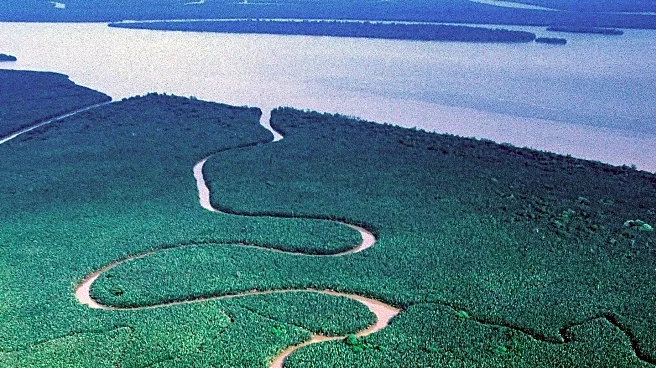 Fitzroy River to Host Canoeing Events Amid Crocodile Concerns for 2032 Olympics
