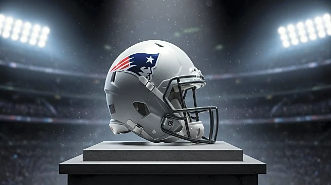 NFL Fans Share Bold Predictions for 2025 Season Impacting Teams and Players