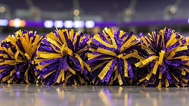 Vikings Cheerleaders Address Fan Backlash Over Male Members