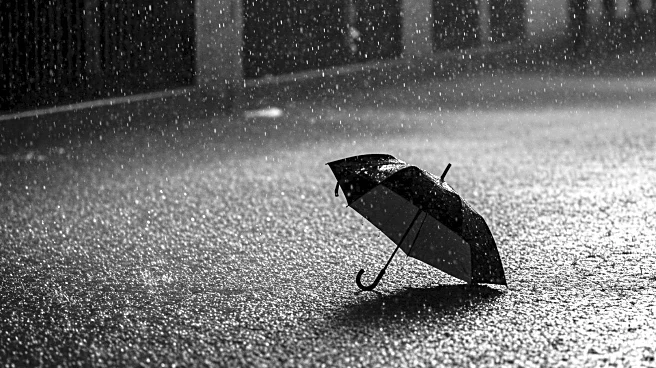 Heavy Rainfall in South Asia Results in Hundreds of Fatalities