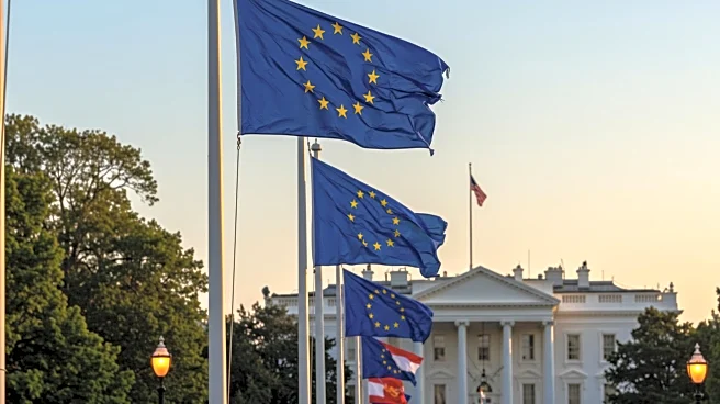 European Leaders Meet President Trump in Washington Amid Ukraine Peace Talks