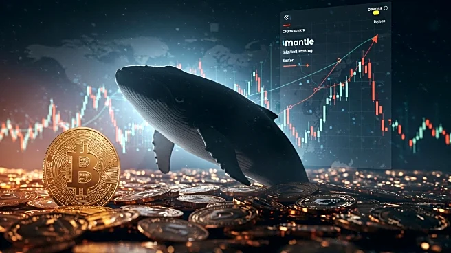 Mantle's Price Surge Driven by Whale Activity and Staking Integration