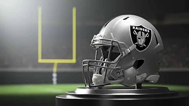 Shedrick Jackson Leads Raiders in Receptions Against 49ers in Preseason