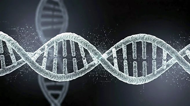 AI Tools Advance Genome Sequencing with New Insights into Regulatory DNA