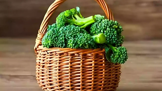Nutrition Expert Highlights Superfoods for Reducing Visceral Fat