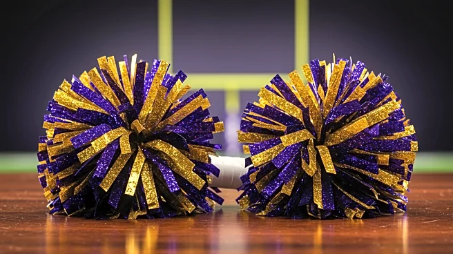 Minnesota Vikings Male Cheerleaders Respond to Fan Backlash on Social Media