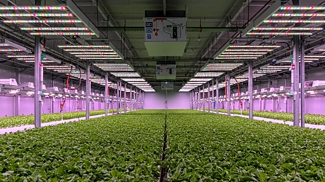Indoor Farming Leaders Merge to Form National Powerhouse, Impacting U.S. Retail