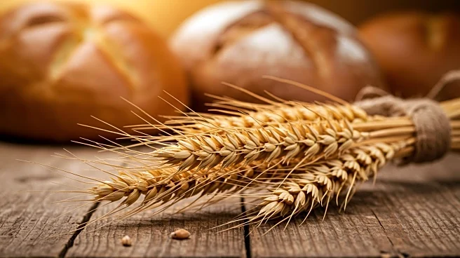 Flowers Foods Adjusts Fiscal Guidance Amid Economic Challenges and Bread Sales Decline