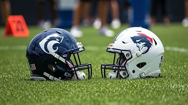 Tennessee Titans Training Camp Highlights Physical Altercation