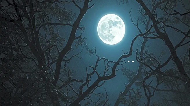 Justin Long and Kate Bosworth's Horror-Comedy 'Coyotes' Sets October Release
