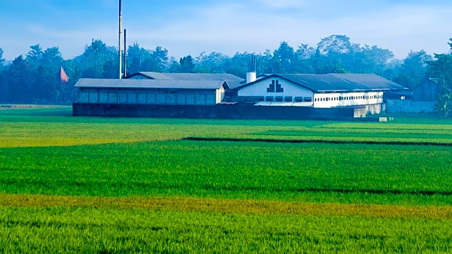 Artisanal Agriculture Stands Out Amid Industrialization Trends