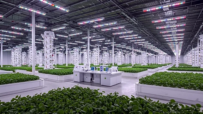 Singrow Expands Seed Breeding and Vertical Farming Business Globally