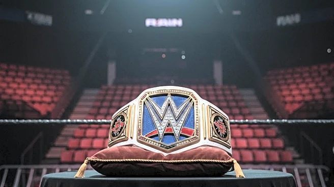 Naomi Vacates WWE Women's Title After Pregnancy Announcement