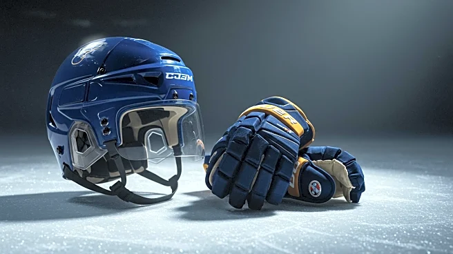 St. Louis Blues Offer Milan Lucic NHL Tryout Amid Controversy