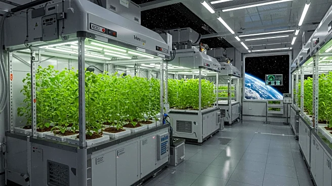 NASA Crew Conducts Space Botany Experiments on ISS