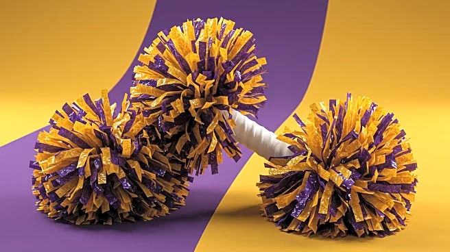 Minnesota Vikings Introduce Male Cheerleaders Amidst Controversy Over Masculinity