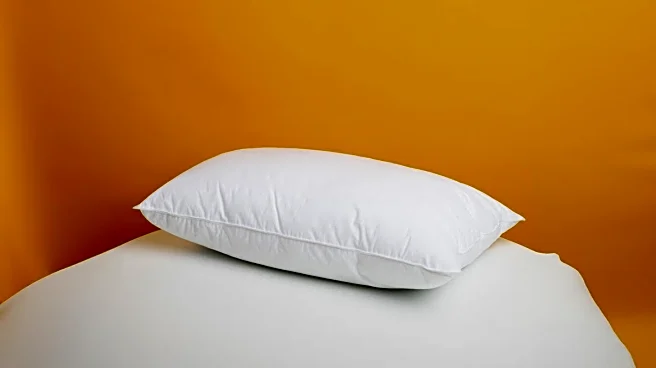 Casper's The One Mattress Receives Top Consumer Reports Rating, Offers Enhanced Sleep Experience