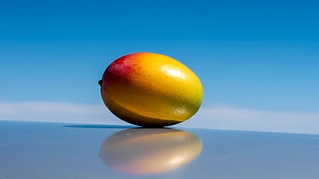 Mango Airlines Ceases Operations After Failed Rescue Plan