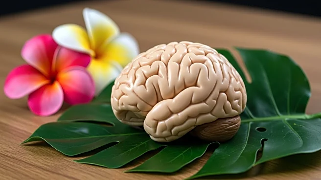 FALAN Advances Neuroscience Research in Latin America and the Caribbean