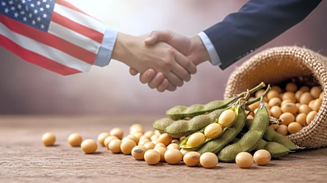 Soybean Farmers Urge President Trump to Resolve Trade Dispute with China Amid Economic Strain