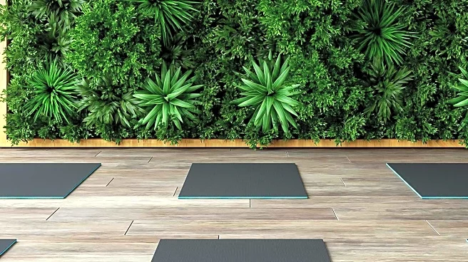 Merach Walking Pad Enables Office Half-Marathon, Boosting Fitness Accessibility