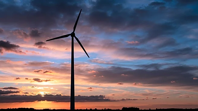 Texas Faces Economic Threat from President Trump's Anti-Green Energy Policies