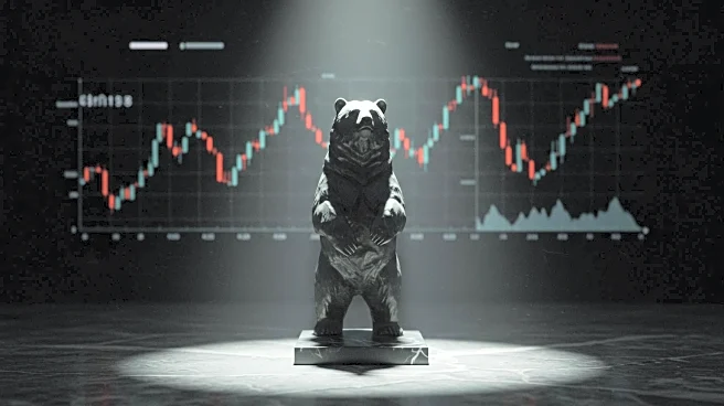 Analyst Questions Market's Resilience Amid Potential Bear Market Scenario