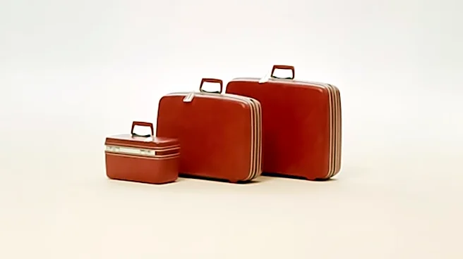 Travel Editor Discusses Air Canada Strike Resolution and Luggage Selection Tips