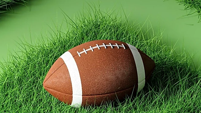 Survey Reveals Steelers, Browns, Ravens Fans Among Most Bald in NFL