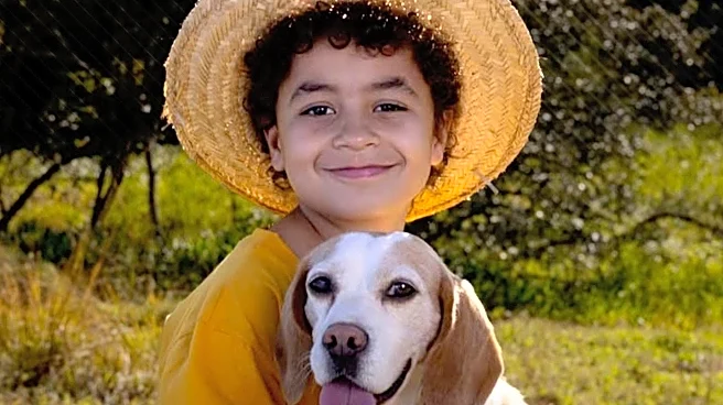 Experts Warn of Pet Depression as Children Return to School