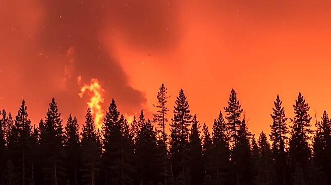 UK Wildfires Reach Record Levels, Impacting Large Areas