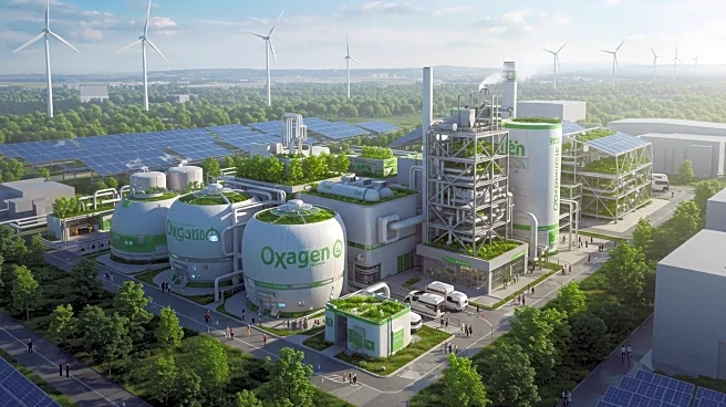 Carbon-Neutral Oxygen Manufacturing Plant Setup: Environmental Impact and Industry Trends