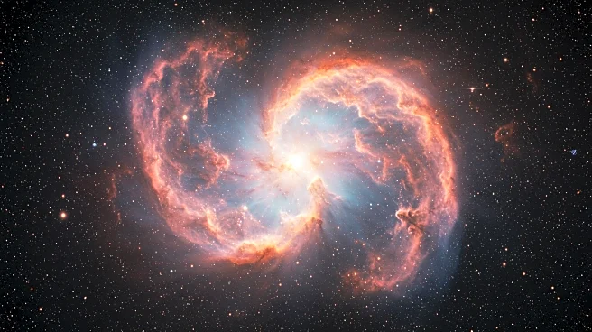 Debate on the Anthropic Principle: Revisiting Carter's Definitions