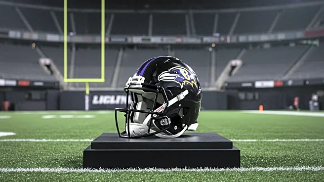 Baltimore Ravens Favored to Win AFC North Despite Cincinnati Bengals' Challenge