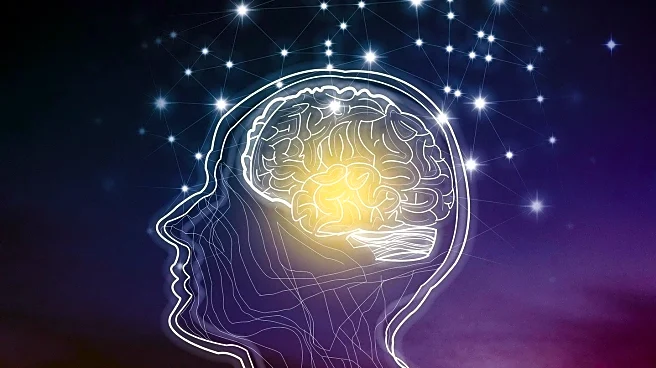 New Study Links Brain Cholesterol Transport to Alzheimer’s Disease Risk