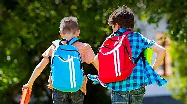 Expert Offers Tips for Managing Kids' Mental Health as School Year Begins